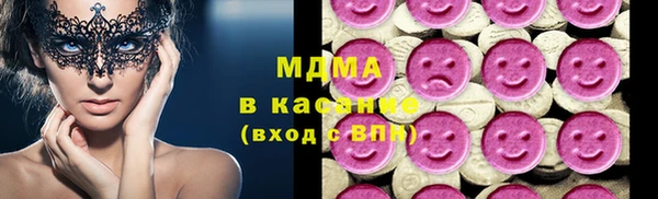 индика Аркадак
