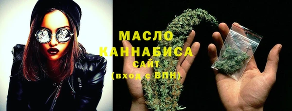 индика Аркадак