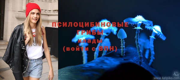 ALPHA PVP Армянск