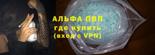 индика Аркадак