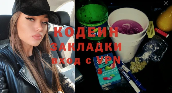 индика Аркадак
