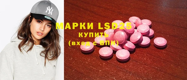 индика Аркадак