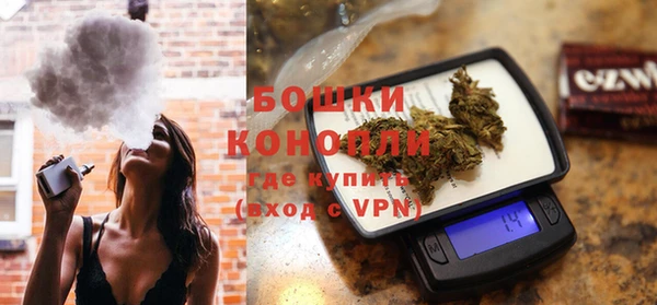 индика Аркадак