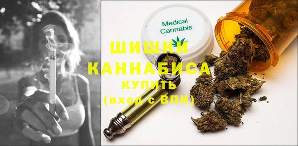 индика Аркадак